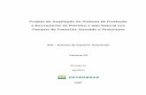 Projeto de Ampliação do Sistema de Produção e Escoamento de …licenciamento.ibama.gov.br/Petroleo/Producao/Producao... · 2011-11-09 · Tabela II.2.4 1 - Tabela de Poços novos