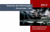Sistemas de Informações 2017 Gerenciais - SIG · •BIO, S. R. Sistemas de informação: Um enfoque gerencial. São Paulo, Atlas, 1996. •CRUZ, Tadeu. ... Conceitos e definições