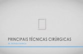 PRINCIPAIS TÉCNICAS CIRÚRGICAS - cremesp.org.br Manica... · •Inversão peniana e modificações Transgêneros - Principais Técnicas Cirúrgicas . CIRURGIA DE READEQUAÇÃO GENITAL