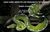 CURSO SOBRE MANEJO DE SERPENTES NÃO …ibimm.org.br/wp-content/uploads/2018/01/Aula-Serpentes-IBIMM.pdf · CURSO SOBRE SERPENTES NÃO PEÇONHENTAS EM CATIVEIRO Serpentes no Brasil