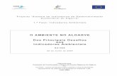 O Ambiente no Algarve - Serviços online · 2004-12-16 · conjunto de slides explicou os objectivos, ... Ar e Clima; Água; Solos e Ordenamento do Território e Resíduos. ... Qualidade