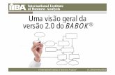 Uma visão geral da versão 2.0 do BABOK - IIBA Capítulo São Paulo · 2010-12-07 · 2 A Guide to the Business Analysis Body of Knowledge (Um Guia para o Corpo de Conhecimento de