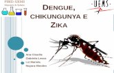 DENGUE CHIKUNGUNYA E ZIKA - … · O mosquito é originário do Egito, na África, e vem se espalhando pelas regiões tropicais e subtropicais do planeta desde o século XVI, por