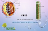 VÍRUS - profmariocastro · PDF fileOs vírus são seres muito simples e pequenos (medem menos de 0,2 µm), formados basicamente por uma cápsula proteica envolvendo o material genético,