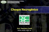 Choque Neurogênico - gerardocristino.com.brgerardocristino.com.br/novosite/aulas/Neuroanatomia/Casos/C7... · Relato de caso Paciente, R.N.M, sexo masculino, 16 anos, procedente