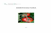 Horticultura 09 Mar 07 - isa.utl.pt · Quadro 36 - Evolução da área e produção de couve repolho, por região agrária, entre 1997 e ... Gráfico 1 - Origem das entradas de hortícolas