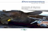 Documentos - Infoteca-e: Página inicial · Documentos Vacinação de Bovinos: ... Embrapa Pecuária Sul Ministério da Agricultura, Pecuária e Abastecimento ... Quais são as vantagens