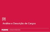 Análise e Descrição de Cargos - fejemg.org.brfejemg.org.br/plataformadainformacao/wp-content/uploads/2015/09/An... · Cabeçalho com informações básicas objetivos Instruções