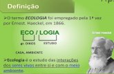 Apresentação do PowerPointescola.unitau.br/...1/...Ecologia_3_serie_Ensino_Medio_1471948640.pdf · Ramo da Ecologia .Sinecologia (ecologia comunitária): estuda as relaçöes entre