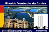 Rivaldo Venâncio da Cunha - saude.rs.gov.br20-%20Apresent... · Família Togaviridae . Reservatórios do vírus Animais silvestres Aves Macacos Aedes aegypti e Aedes albopictus.
