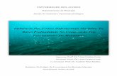 Influência Das Fontes Hidrotermais Marinhas De Baixa … · 2017-08-18 · e Anatomia e Taxonomia Zoológica Supervisor: ... sedimento foi efectuada a uma profundidade máxima de