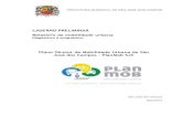 CADERNO PRELIMINAR Relatório da mobilidade urbana · 2.1.1 A Região Metropolitana do Vale do Paraíba e Litoral Norte ... 4.1.5 Transporte de carga ... Zoneamento e acessibilidade