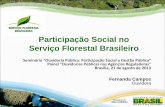 Participação Social no Serviço Florestal Brasileiro · reforma agrária Piauí/2013 . Assentados da reforma agrária Piauí/2013 . órgão de natureza consultiva do SFB (LGFP e