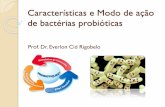 Características e Modo de ação de bactérias probitóticas · Modulação do Sistema Imune