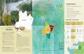 Folder Valores da Amazônia · 2017-06-08 · Ÿ Gerar trabalho e renda; Ÿ Reduzir o desmatamento; Ÿ Incentivar a recuperação de áreas degradadas; Ÿ Promover a conscientização