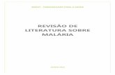 REVISÃO DE LITERATURA SOBRE MALÁRIA - IESE | Instituto ... · 2 5.1.2. malaria consortium 3355 5.1.3. population services international 3355 5.2 no mundo 3355 5.2.1 gana 3366 5.2.2