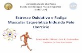 Estresse Oxidativo e Fadiga Muscular - edisciplinas.usp.br · • Estrutura e funções 3. Fadiga Muscular Esquelética • Conceituações • Classificações • Causas 4. EROS