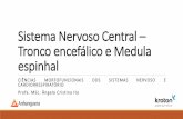 Sistema Nervoso Central – Tronco encefálico e Medula espinhal · 2017-02-24 · •Os componentes básicos de um arco reflexo são ... extremidade distal de um neurônio sensitivo