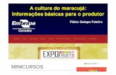A cultura do maracujá: Informações básicas para o produtor · Fonte: Cerqueira-Silva (2014) ... Qualidade de vida no campo. VÍDEOS ... depoimento do produtor sobre a cultura