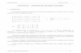 CAPÍTULO II - SISTEMAS DE EQUAÇÕES LINEARESbalsa/teaching/MN08/cap2.pdf · Métodos Numéricos C. Balsa e A. Santos Capítulo 2 – Sistemas de equações lineares 16. CAPÍTULO