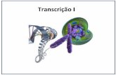 Transcrição I - coltri.bio.br · Transcrição em procariotos ... Sensor His kinase DNA-binding --domain transmitter · domain domain $ .._ ..L_ATP • Gin enhancer (b) General