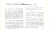 Impressão de fax em página inteira - Acta Amazonica · continuar testando os postulados da lei de Zalenski (vide Lleras, 1978) quanto a xerofi- tismo e as observações de Salisbury