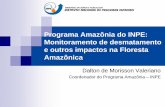Programa Amazônia do INPE: Monitoramento de desmatamento … · 1987 - Programa Nossa Natureza – Demanda do IBAMA e SAE ... Atualização imediata do banco de dados Controle completo