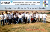 AMBIENTE E TOTALIDADE - sol.unesp.br · Sustentabilidade Socioambiental Prof. João Osvaldo Rodrigues Nunes Departamento de Geografia – FCT/UNESP