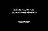 Ecossistemas, Biomas e Domínios Morfoclimáticos · (Questão ENEM 2005) Em um estudo feito pelo Instituto Florestal, foi possível acompanhar a evolução de ecossistemas paulistas