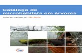 Catálogo de microhabitats em árvores - integrateplus.org · Este catáligo está disponível para download em: integrateplus.org ... Galerias ou orifícios de insetos ... ferida