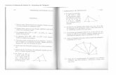 Exercícios e Problemas do Capítulo VII Semelhança de ... · Quanto mede a hipotenusa de um triângulo retângulo em que os catetos medem um centímetro cada? ... bol é de 45 cm.