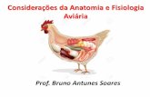 Anatomia e Fisiologia Aviária - gectaunibh.comgectaunibh.com/wp-content/uploads/2018/08/Aula-03-Anatomia-e... · O Tegumento das Aves Cobertura corporal durável, resistente e eficiente.