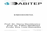 7 APOSTILA TEORIA ENDODONTIA 18PGS - abitep.netvm.com.brabitep.netvm.com.br/ead/upload/APOSTILA_TEORIA_ENDODONTIA.pdf · endodontia@abitep.com.br Tel.:11 3214 - 8949 4 HISTOFISIOLOGIA