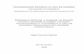 UNIVERSIDADE FEDERAL DO RIO DE JANEIROobjdig.ufrj.br/59/teses/700966.pdf · substituição isostérica do núcleo pirazolo-piridina. ... contra S. epidermidis em contraste com os