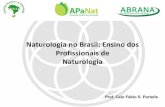 Naturologia no Brasil: Ensino dos Profissionais de Naturologia · Projeto Integrado II Psicopatologia Projeto Integrado I Estágio Supervisionado IV 520 Estágio Supervisionado II