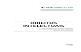 DIREITOS INTELECTUAIS - FGV DIREITO RIO · ramo inclui a chamada propriedade industrial e tem seu estudo sistematizado principalmente no âmbito do Direito Comercial. Mais recentemente,