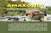 AMAZÔNIA - funceb.org.br · estrangeiros da foz do Rio Amazonas e a cons - trução do Forte do Presépio na baía de Guajará. O Forte do Pre-sépio, que deu origem à cidade de
