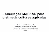 Simulação MAPSAR para distinguir culturas agrícolasmarte.dpi.inpe.br/col/dpi.inpe.br/marte@80/2007/08.22.22.28/doc/10... · Existem poucos estudos sobre imagens SAR para as principais