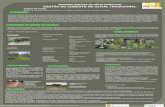 Jornadas ibéricas do olival tradicional GESTÃO DO COBERTO ... · Considerar a mobilização do solo e a aplicação de herbicidas como técnicas complementares a incluir numa estratégia