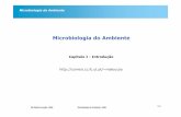 Microbiologia do Ambiente - FCULwebpages.fc.ul.pt/~maloucao/Aula 2.pdf · 2 de ? MA Martins-Loução, 2006 Microbiologia do Ambiente, 2006 Microbiologia do Ambiente Capt I Introdução