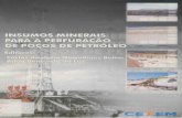 INSUMOS MINERAIS PARA PERFURAÇÃO DE POÇOS DEmineralis.cetem.gov.br/bitstream/cetem/683/1/insumos_minerais.pdf · DEPARTAMENTO DE ENGENHARIA DE MINAS - UFPE . CENTRO DE TECNOLOGIA