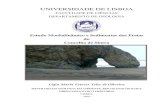 UNIVERSIDADE DE LISBOA - repositorio.ul.ptrepositorio.ul.pt/bitstream/10451/3310/1/ulfc055508_tm_ligia... · contexto das relações com as rochas que afloram no Concelho de Sintra