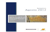 Relatório Agosto 2012 - ASSOCIAÇÃO COLMEIA SP · PDF fileRelatório Agosto 2012 Histórico da Histórico da execução deexecução deexecução de Obras para Obras para conversão