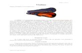 Livro sobre Violino - Curso online de Violino – Curso de ...cursos.violinando.com/download/apoio/Lidiane Rodrigues - Violino.pdf · Vibrato - Tem 3 tipos de vibrato: o de dedo,