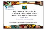 Agrotóxicos: Avaliação da Eficiência Agronômica e seus ... · Agrotóxicos: Avaliação da Eficiência Agronômica e seus benefícios para a agricultura Ministério da Agricultura,