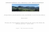 Relatório do Diagnóstico do Plano de Desenvolvimento Territorial … · Relatório da reunião na comunidade de Bom Jesus do Madeira.....48 Relatório da reunião na comunidade