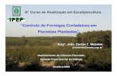 “Controle de Formigas Cortadeiras em Florestas Plantadas” · “Controle de Formigas Cortadeiras em Florestas Plantadas” 8º. Curso de Atualização em Eucaliptocultura Engoo.
