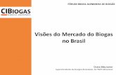 Visões do Mercado do Biogas no Brasil - ahkbrasilien.com.br · - Consumo de Energía: 34,84% do consumo total 190 TW/h/ano - Demanda total 500 TW/h/ano. Biogás Potencial de produção