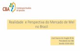 Realidade e perspectiva do Mercado de Mel No Brasilpecnordestefaec.org.br/.../uploads/...do-Mercado-de-Mel-no-Brasil.pdf · CONCLUSÕES •Teremos 100 - 150 mil toneladas de demanda