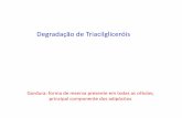 Degradação de Triacilgliceróis · 2018-05-08 · Nota: mandem em formato do word(.docx). NÃO mandem em pdf. 1. É noção popular que“as vitaminas são substâncias que o corpo